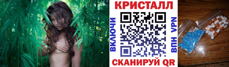 закладка  Судогда  АМФ Premium 