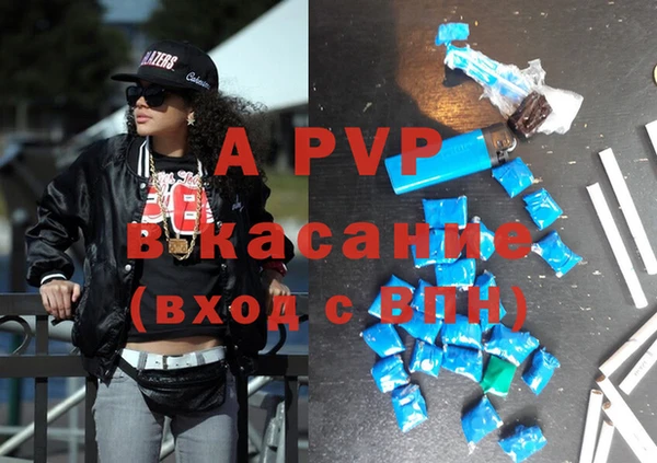 шишки Рославль