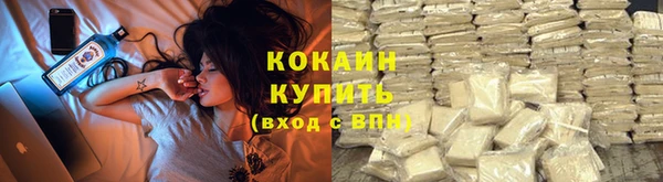 шишки Рославль