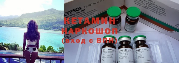 шишки Рославль