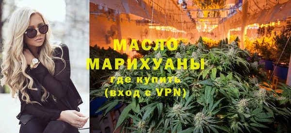 индика Абаза