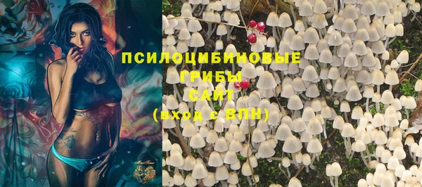 индика Абаза
