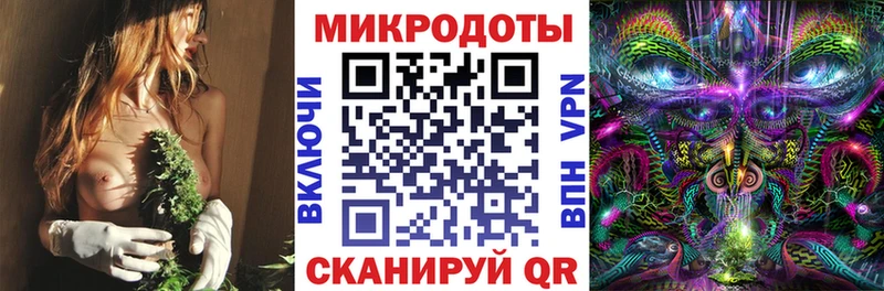 Галлюциногенные грибы ЛСД  MEGA маркетплейс  Судогда  купить наркоту 